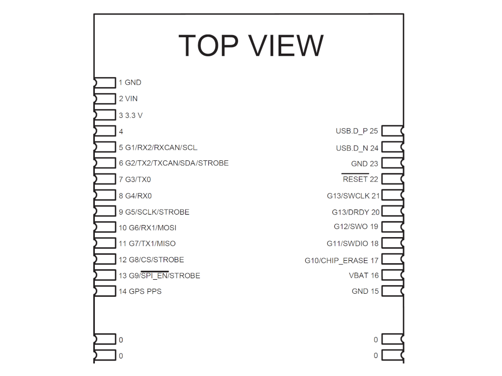 IG1 Module Pinout